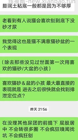 讨论/【科普】尿床？乱拉乱尿？分析猫乱排泄问题 - 线报酷