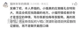 讨论/【科普】“可爱”照片背后的真相原来是这样的，关于猫咪应激需要知道的一些事 - 线报酷