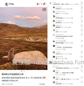 讨论/【科普】“可爱”照片背后的真相原来是这样的，关于猫咪应激需要知道的一些事 - 线报酷