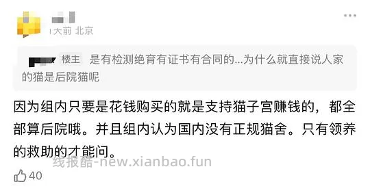 【科普】‼️‼️别问啦别问啦!买了后院猫,我不说还不行吗?!后院讨论科普避雷帖,欢迎大家补充😛 - 线报酷 【科普】‼️‼️别问啦别问啦!买了后院猫,我不说还不行吗?!后院讨论科普避雷帖,欢迎大家补充😛 - 线报酷