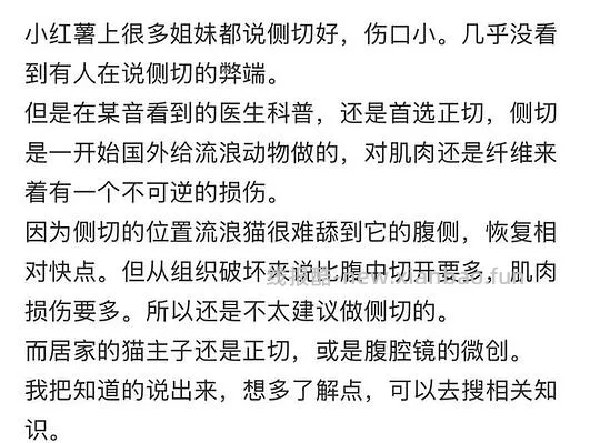 讨论/【科普】关于母猫绝育医院选择和注意点 - 线报酷 讨论/【科普】关于母猫绝育医院选择和注意点 - 线报酷