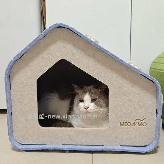 30r两个毛毡猫窝 - 线报酷 30r两个毛毡猫窝 - 线报酷